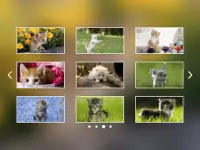 Kittens Jigsaw Puzzles Screen Shot 1