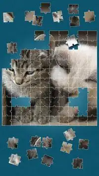 Chats Mignons Jeux De Puzzle Screen Shot 3