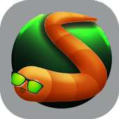 Garden snake,Snake game,Snake
