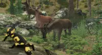 VR ZOO Safari Park Animal Game Screen Shot 5