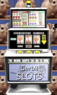 Gerbil Slots - Free Screen Shot 0