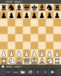 Enjoy Chess Screen Shot 2