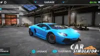 Car Simulator: Steering Wheel Possessor Screen Shot 4