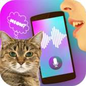 Cat Voice Translator Simulator