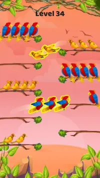 Bird color sort - Match puzzle Screen Shot 3