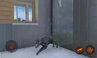 Simulator Anjing Besar Dane Screen Shot 0