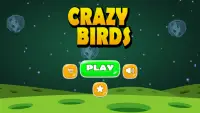 Crazy Birds Screen Shot 3