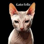 gato y raton juego gratis