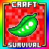 Craft and Survival