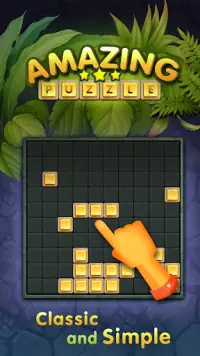 10s Amazing ® Block Puzzle Games Screen Shot 0