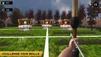 Archery Master Expert: gratis spellen 2020 Screen Shot 1