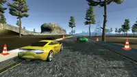Luxury Sports Car Driving & parking Simulator Screen Shot 0