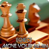 Echecs (Chess 3D)