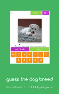 Guess The Dog Breed- Quiz Screen Shot 8