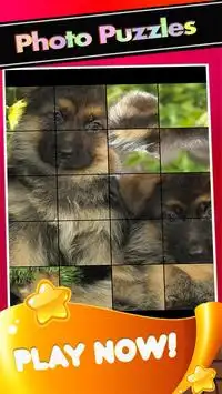 Puppies Pictures-Puppy Dogs Puzzle Game Screen Shot 2