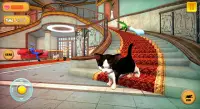 Pussycats Kitten Game: Cat sim 2021 Screen Shot 3