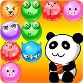Panda Pop Saga
