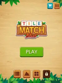 Tile Match Blast - New Block Puzzle Screen Shot 13