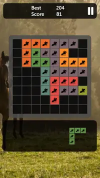 Horse Blocks - Puzzle Games Screen Shot 0