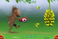 Banana Smash - FREE Screen Shot 1
