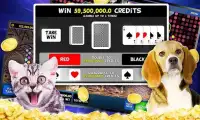 King of Vegas - Wild Jackpot Screen Shot 2