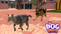 Köpek Husky Hayvan Oyunları Screen Shot 3