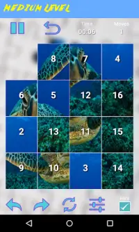 Turtle Jigsaw Puzzle Screen Shot 4