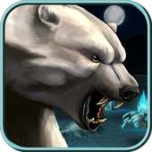 Wildlife Quest Polar Bear