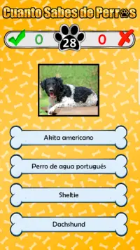 Cuanto Sabes de Perros - Trivia Screen Shot 6