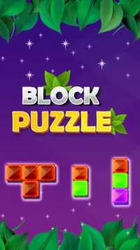 Block Puzzle Game: Jigsaw Puzzle, Jewel Puzzle Screen Shot 3