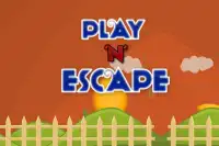 Play N Escape Screen Shot 0