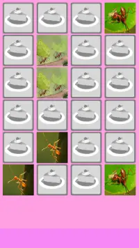 Ant Memory Game Screen Shot 3