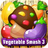 Vegetable Smash 3