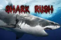 Shark Rush Screen Shot 0