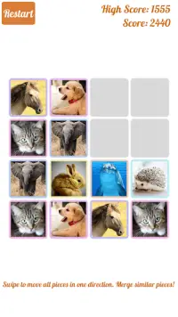 2048 Cute Animals - Puzzle for Girls Screen Shot 2