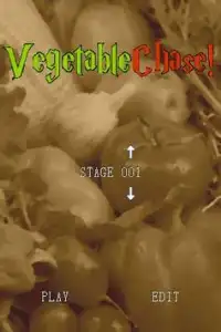 Vegetable Chase! Screen Shot 0