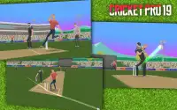 Cricket Pro 19 Screen Shot 13