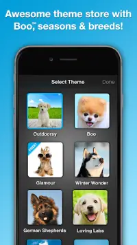 Weather Puppy - App & Widget Screen Shot 5