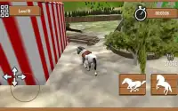 Horse Riding Race 3D Screen Shot 2