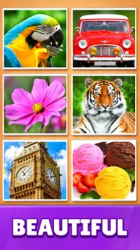 Jigsaw Puzzles Blocks Screen Shot 3