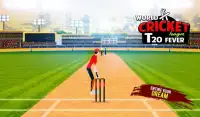 Mundial de Críquete Super League T20 Febre: Cricke Screen Shot 2