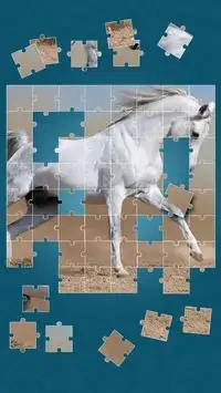 Horses Jigsaw Puzzle Game Screen Shot 6