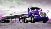 Truck Simulator OffRoad Screen Shot 1