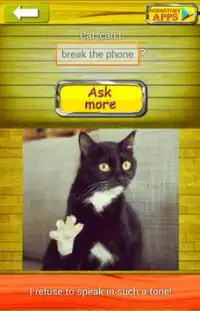 Zapytaj Cat 2 Tłumacz Screen Shot 4