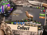 Hunting Clash: Shooting Games Screen Shot 18