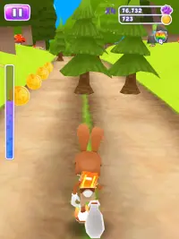 Bunny Rabbit Runner Screen Shot 11