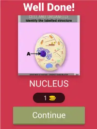 Anatomy Online Quiz: Cell and  Screen Shot 13