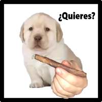 ¿Quieres? : The Game