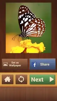 Бабочка Головоломки Screen Shot 4