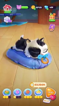 Catapolis- 고양이 키우기 동물 게임 Screen Shot 3
